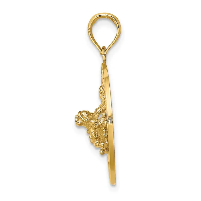 Charm Necklaces Goldia 14k Yellow Gold SARASOTA wFrog Circle Charm