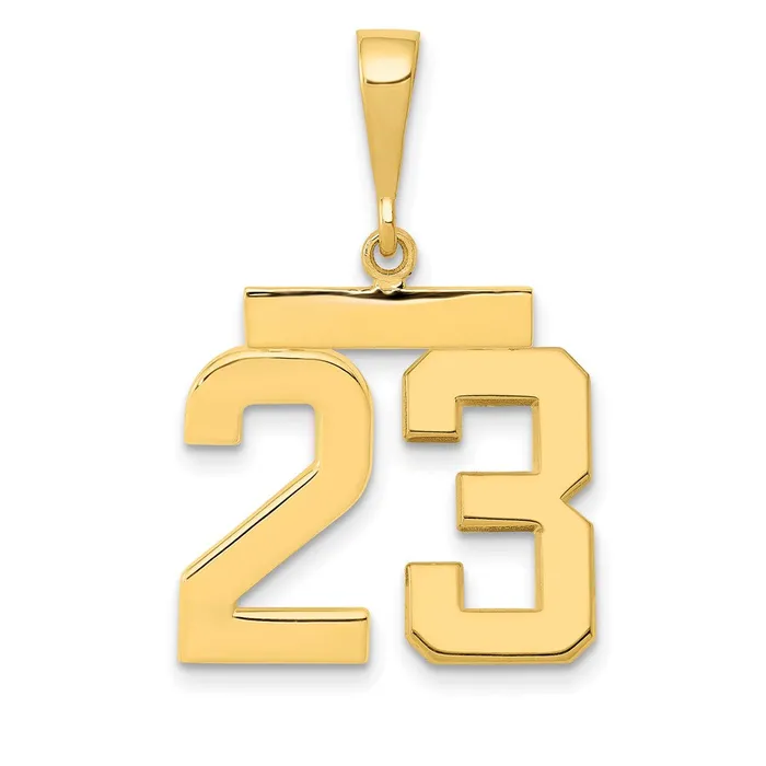 Goldia 14k Yellow Gold Medium Polished Number 23 Charm Charm Necklaces