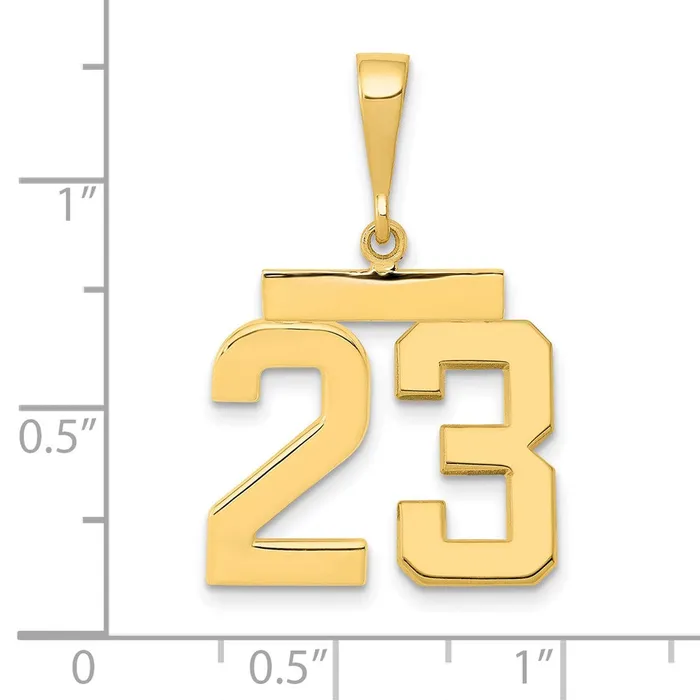 Goldia 14k Yellow Gold Medium Polished Number 23 Charm Charm Necklaces