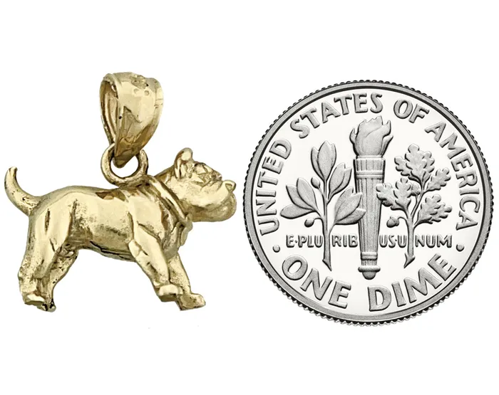 Goldia Charm Necklaces 14K Gold 3D Bulldog Charm