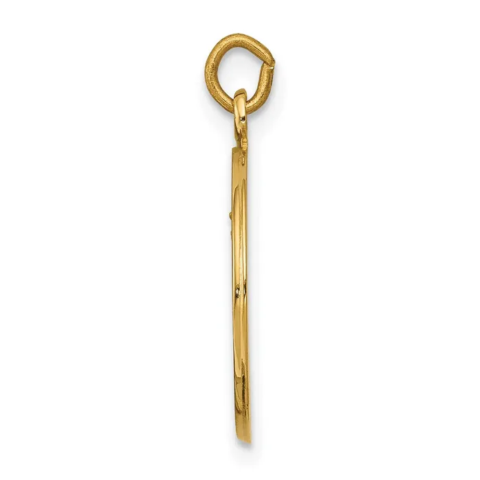 Charm Necklaces 14k Yellow Gold Our Lady of Mount Carmel Medal Charm TreasureFineJewelers