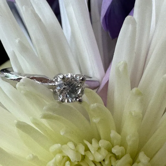 ONeills Estate Jewelry 14 Karat White Gold Diamond Solitaire Ring 10000658 Rings ONeills Estate Jewelry 14 Karat White Gold Diamond Solitaire Ring 10000658 Rings
