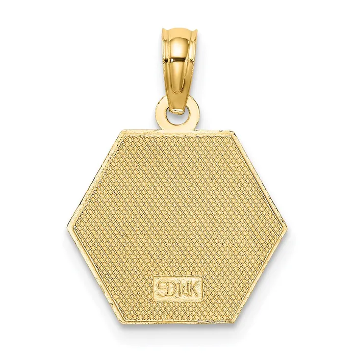 TreasureFineJewelers Charm Necklaces 14K Caduceus Textured Back Medical Charm