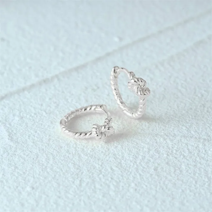 Trendolla Jewelry Earrings Fashion Geometric Twist Huggie Earring for Women