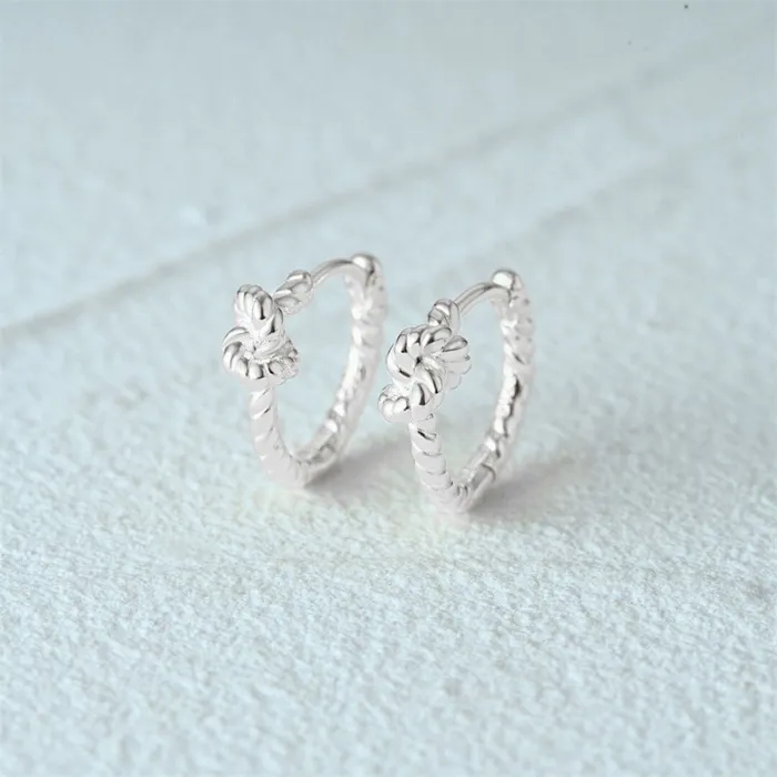 Trendolla Jewelry Earrings Fashion Geometric Twist Huggie Earring for Women