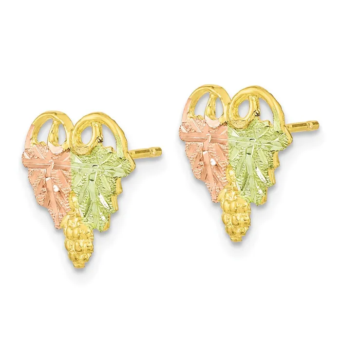 WB Choice Jewelry Earrings 10k TriColor Black Hills Gold Post EarringsWBC10BH684