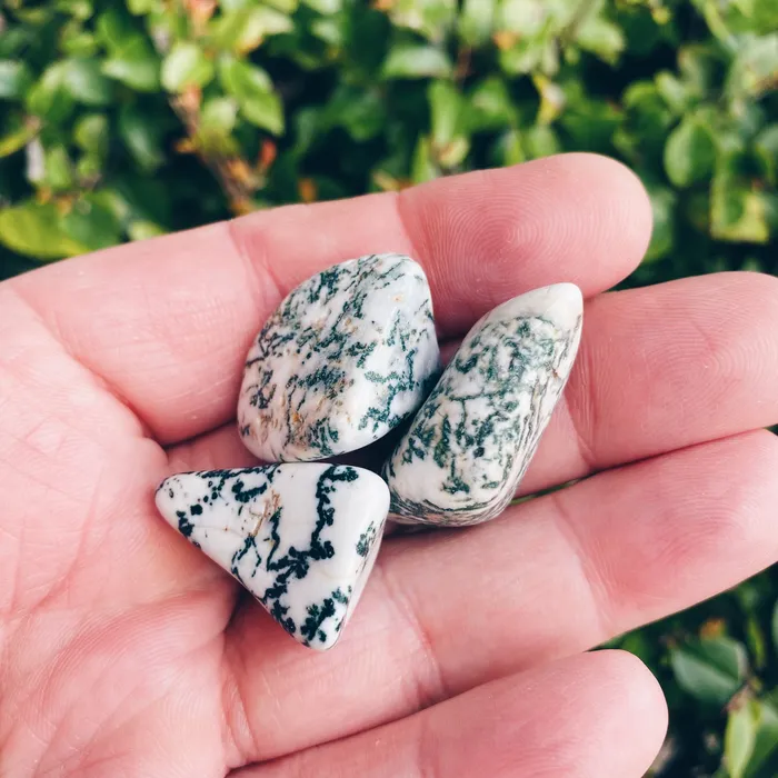 Necklaces The Bead N Crystal Enclave Gems Tree Agate Tumbled Stones