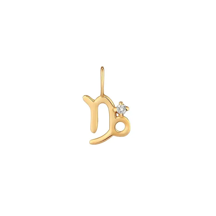 Charm Necklaces CAPRICORN Diamond Zodiac Charm Aurelie Gi