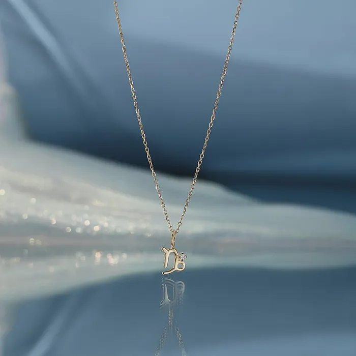 Charm Necklaces CAPRICORN Diamond Zodiac Charm Aurelie Gi
