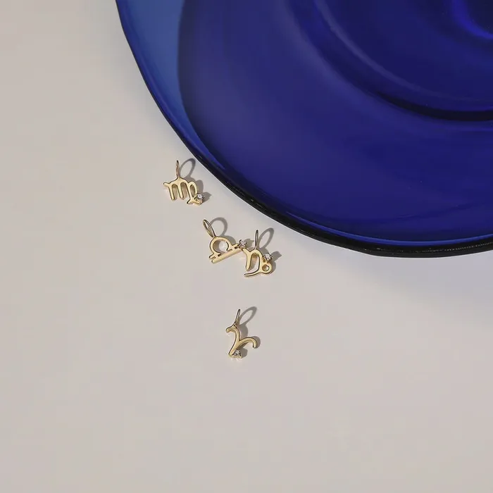 Charm Necklaces CAPRICORN Diamond Zodiac Charm Aurelie Gi