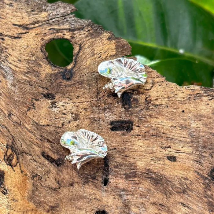 Crucian Gold Earrings Conch Shell Earrings