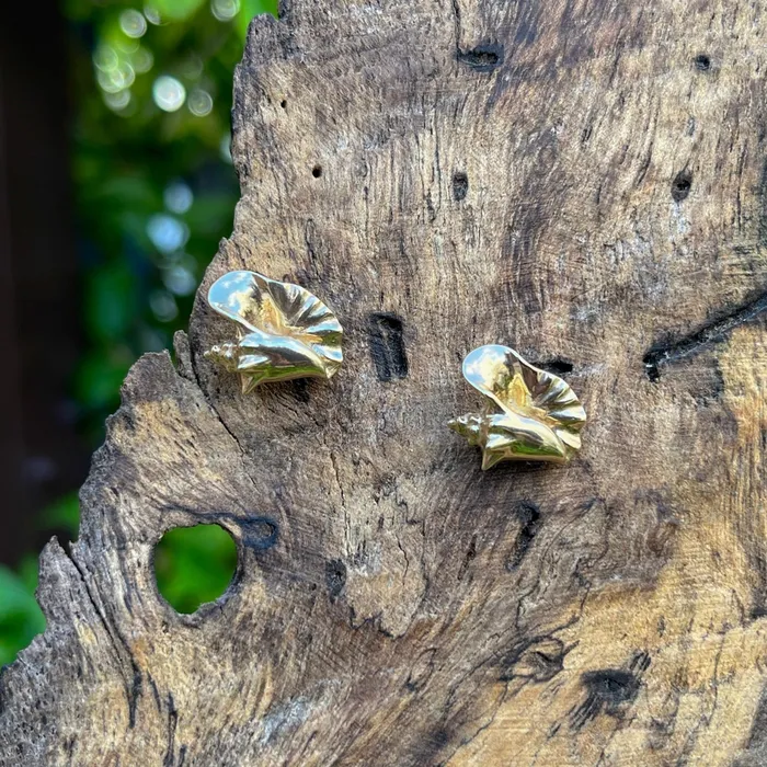 Crucian Gold Earrings Conch Shell Earrings