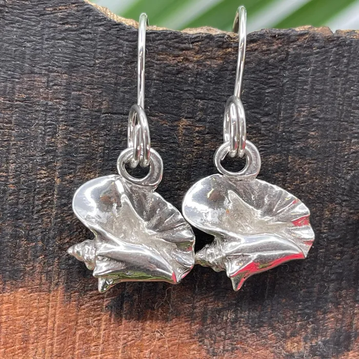 Crucian Gold Earrings Conch Shell Earrings