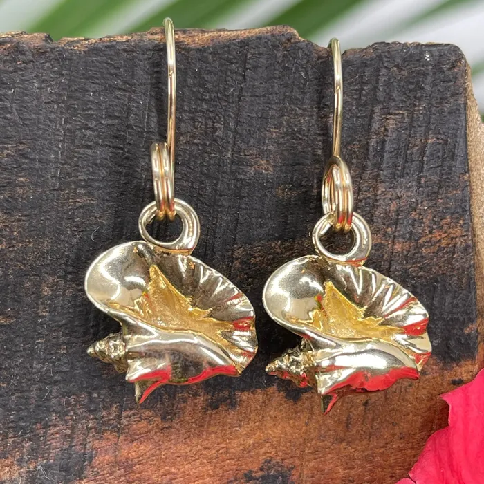Crucian Gold Earrings Conch Shell Earrings